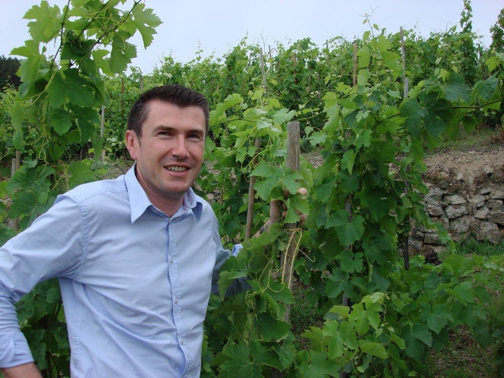 Jérôme Despesse Amorim Vignes Domaine Despesse