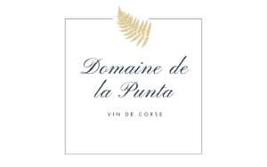 Domaine punta
