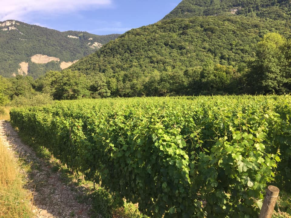 Hermitage finot