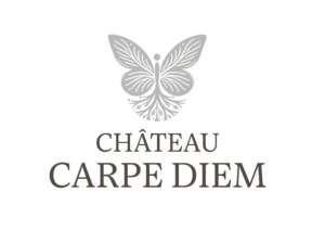 Logo chateau carpe diem 2 coul